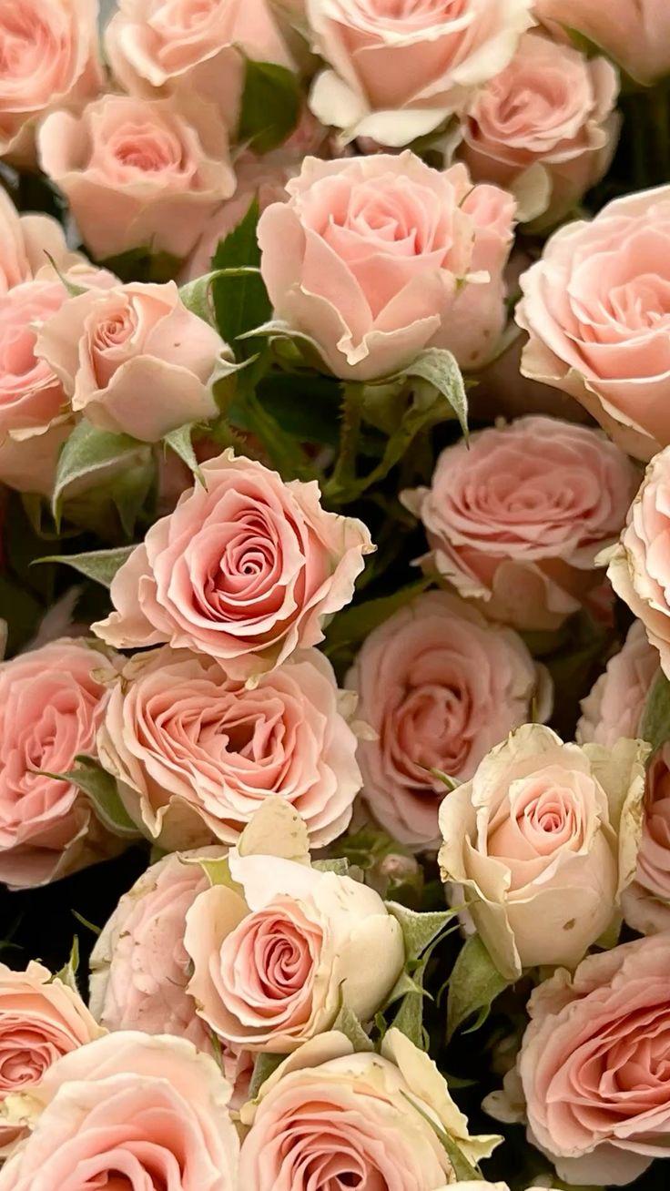 Vast Field Bench workshop space where corporate flower arrangements are designed and prepared for business delivery